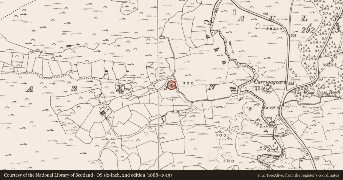 Ordnance Survey six-inch map, 2nd edition (1888–1915) covering the location of Enclosure, Neaskin, County Cork, with a pin at the register's coordinates
