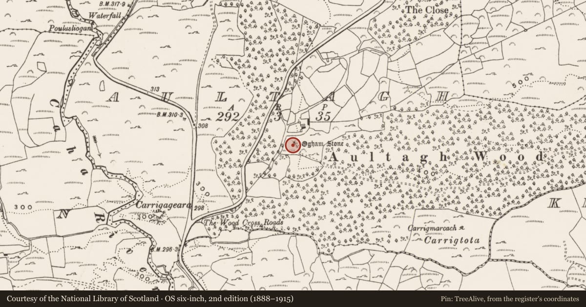 Ordnance Survey six-inch map, 2nd edition (1888–1915) covering the location of Ogham stone, Aultagh, County Cork, with a pin at the register's coordinates