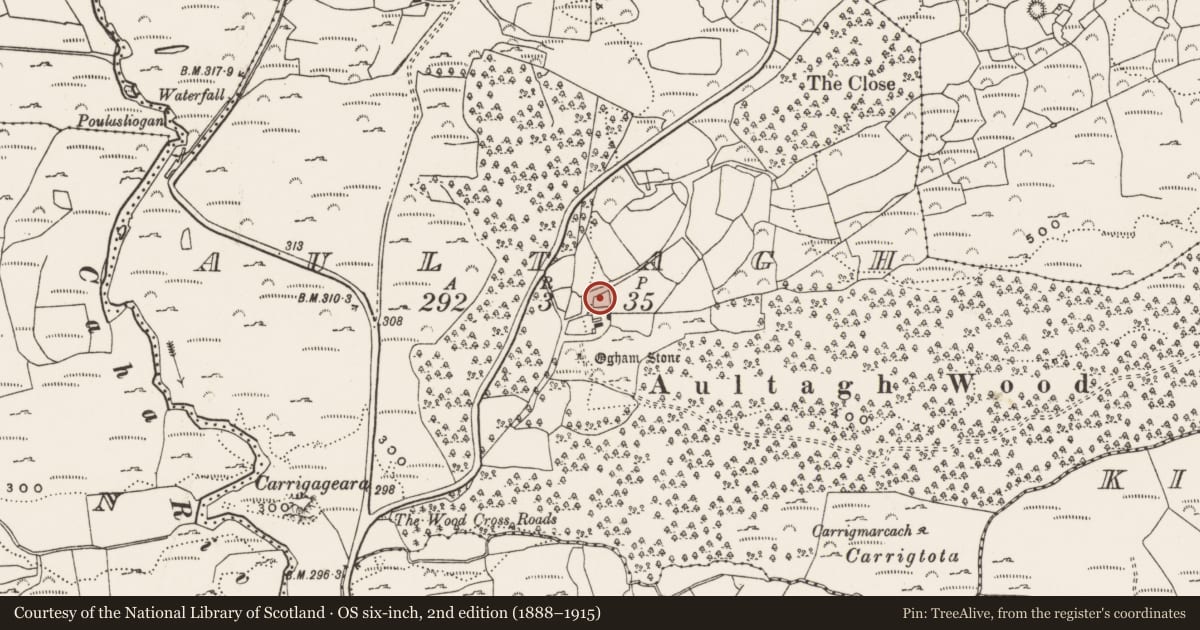 Ordnance Survey six-inch map, 2nd edition (1888–1915) covering the location of Ringfort - rath, Aultagh, County Cork, with a pin at the register's coordinates