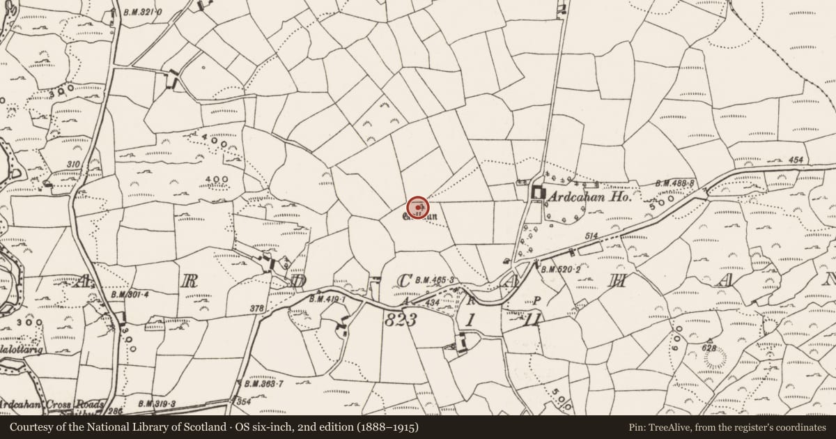 Ordnance Survey six-inch map, 2nd edition (1888–1915) covering the location of Standing stone, Ardcahan, County Cork, with a pin at the register's coordinates