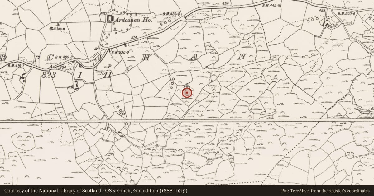 Ordnance Survey six-inch map, 2nd edition (1888–1915) covering the location of Ringfort - rath, Ardcahan, County Cork, with a pin at the register's coordinates