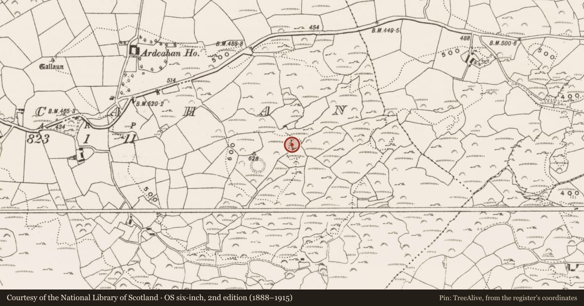 Ordnance Survey six-inch map, 2nd edition (1888–1915) covering the location of Ringfort - rath, Ardcahan, County Cork, with a pin at the register's coordinates
