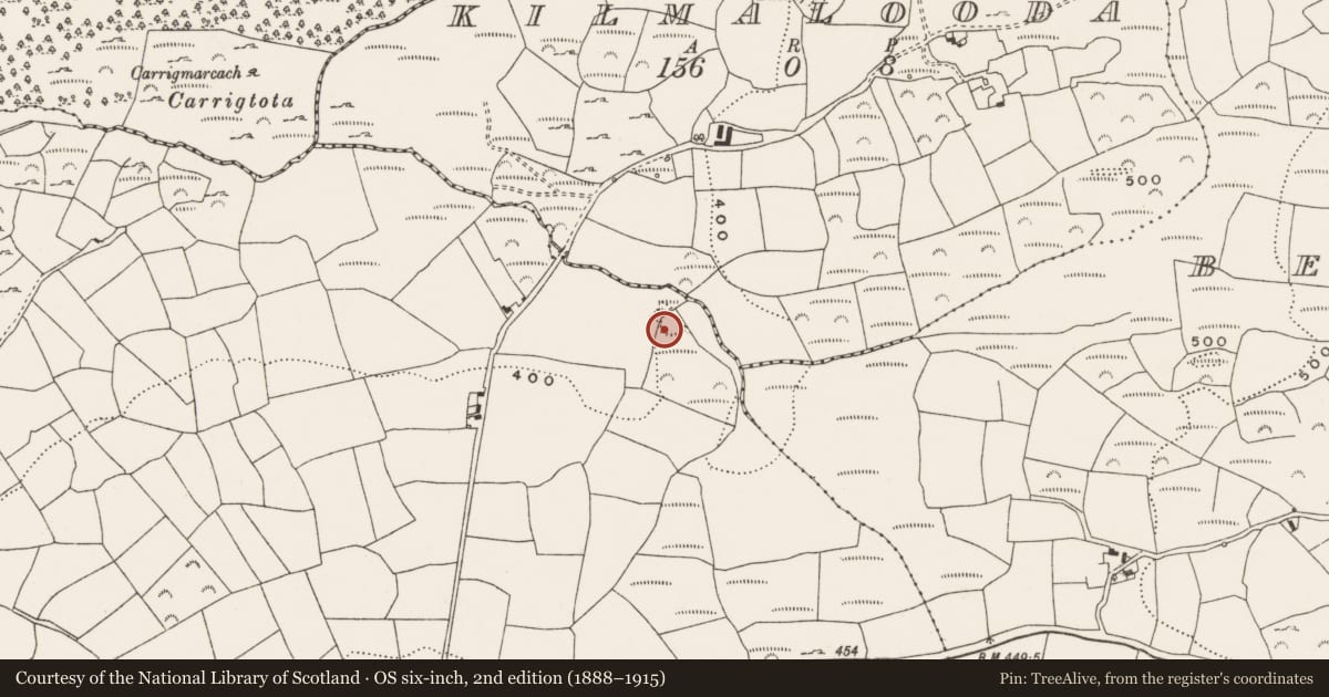 Ordnance Survey six-inch map, 2nd edition (1888–1915) covering the location of Ringfort - rath, Ardcahan, County Cork, with a pin at the register's coordinates