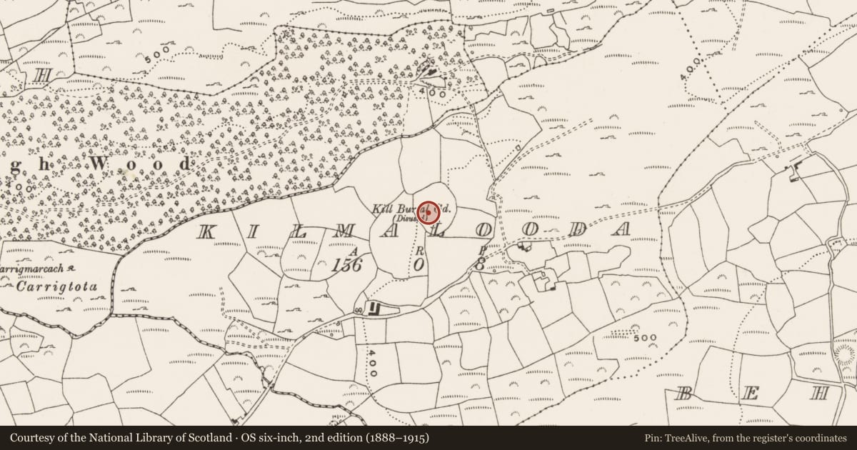 Ordnance Survey six-inch map, 2nd edition (1888–1915) covering the location of Ecclesiastical enclosure, Kilmalooda, County Cork, with a pin at the register's coordinates