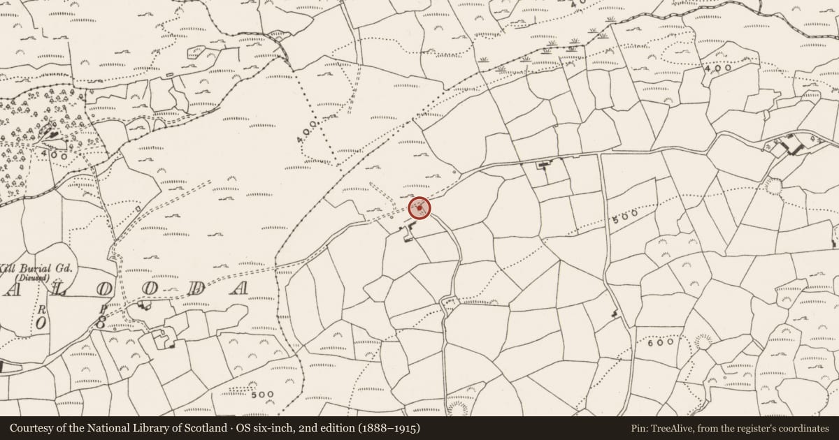 Ordnance Survey six-inch map, 2nd edition (1888–1915) covering the location of Standing stone, Behagullane, County Cork, with a pin at the register's coordinates
