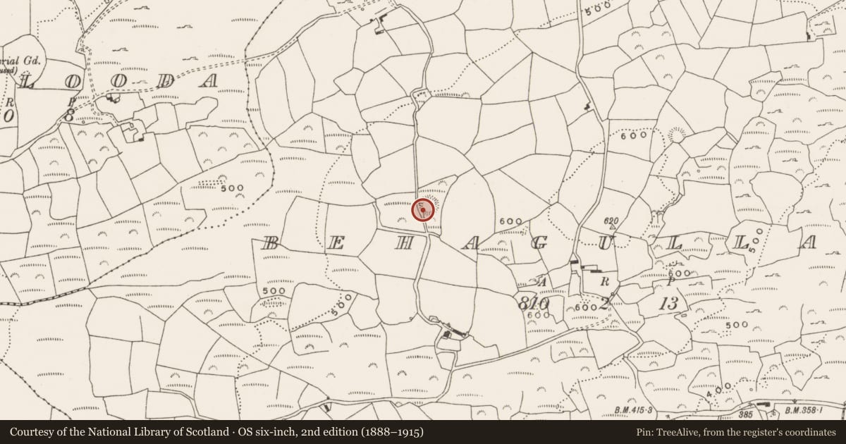 Ordnance Survey six-inch map, 2nd edition (1888–1915) covering the location of Ringfort - rath, Behagullane, County Cork, with a pin at the register's coordinates