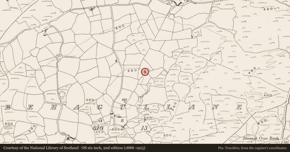 Ordnance Survey six-inch map, 2nd edition (1888–1915) covering the location of Ringfort - rath, Behagullane, County Cork, with a pin at the register's coordinates