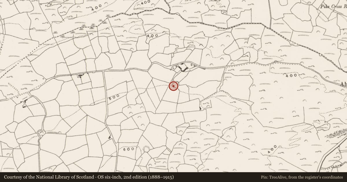 Ordnance Survey six-inch map, 2nd edition (1888–1915) covering the location of Ringfort - rath, Behagullane, County Cork, with a pin at the register's coordinates