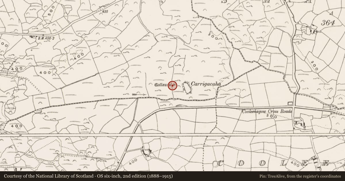 Ordnance Survey six-inch map, 2nd edition (1888–1915) covering the location of Stone row, Behagullane, County Cork, with a pin at the register's coordinates
