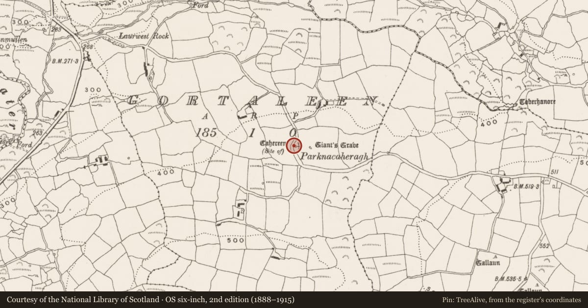 Ordnance Survey six-inch map, 2nd edition (1888–1915) covering the location of Ringfort - cashel, Gortaleen, County Cork, with a pin at the register's coordinates