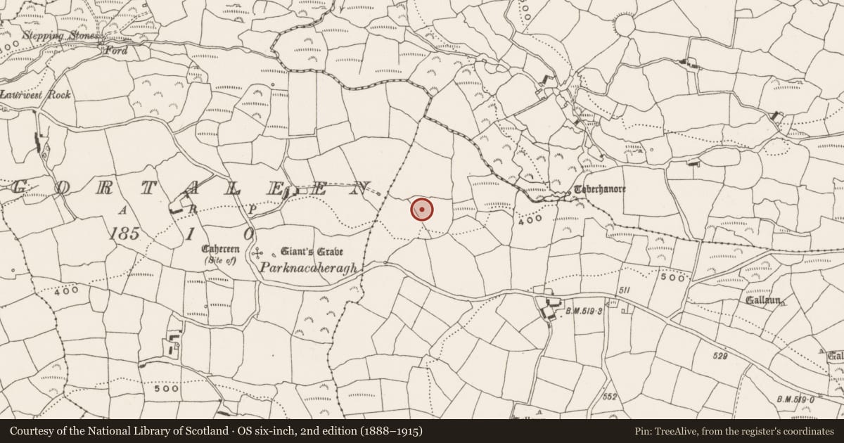 Ordnance Survey six-inch map, 2nd edition (1888–1915) covering the location of Souterrain, Kinneigh, County Cork, with a pin at the register's coordinates