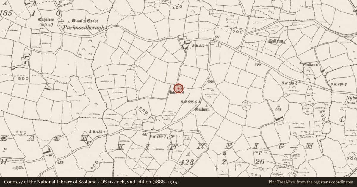 Ordnance Survey six-inch map, 2nd edition (1888–1915) covering the location of Standing stone - pair, Kinneigh, County Cork, with a pin at the register's coordinates