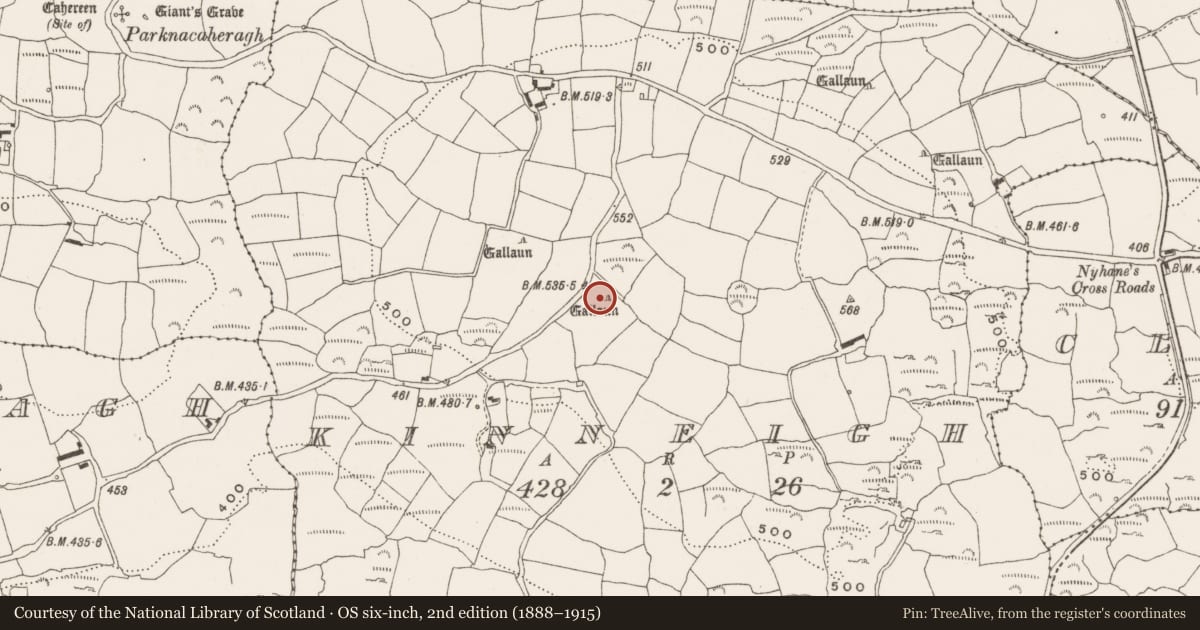 Ordnance Survey six-inch map, 2nd edition (1888–1915) covering the location of Standing stone, Kinneigh, County Cork, with a pin at the register's coordinates