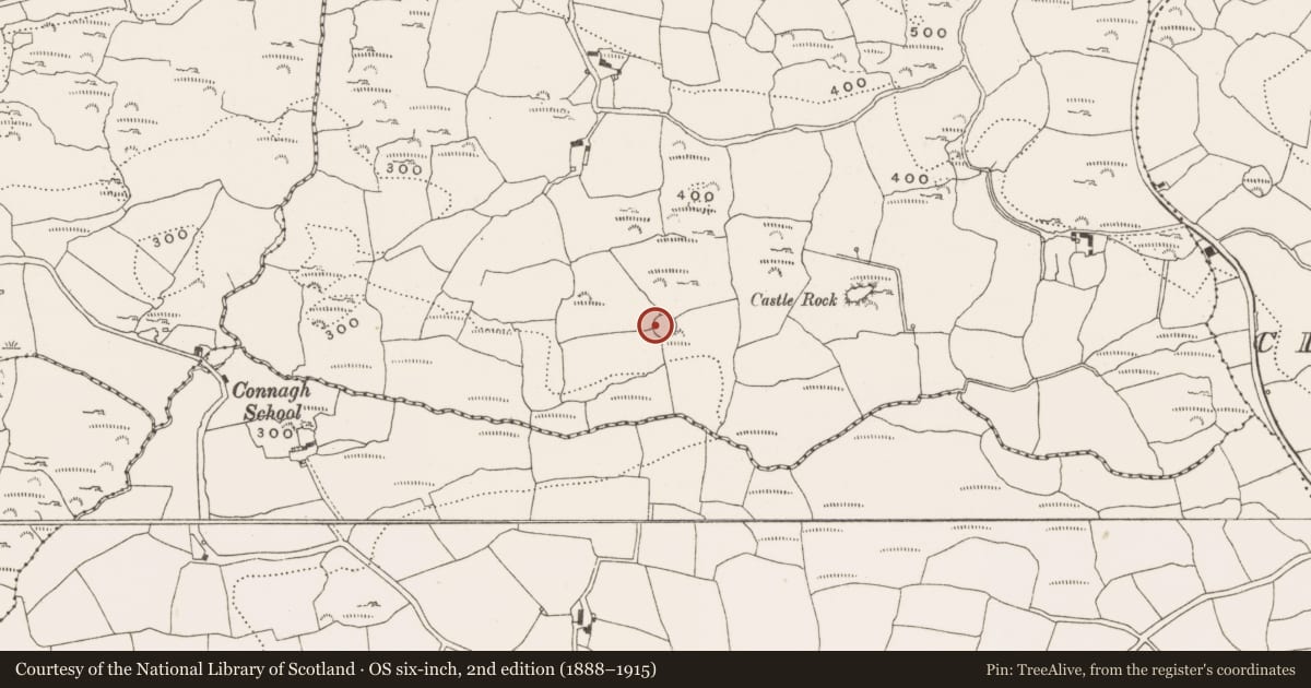 Ordnance Survey six-inch map, 2nd edition (1888–1915) covering the location of Ringfort - cashel, Kinneigh, County Cork, with a pin at the register's coordinates