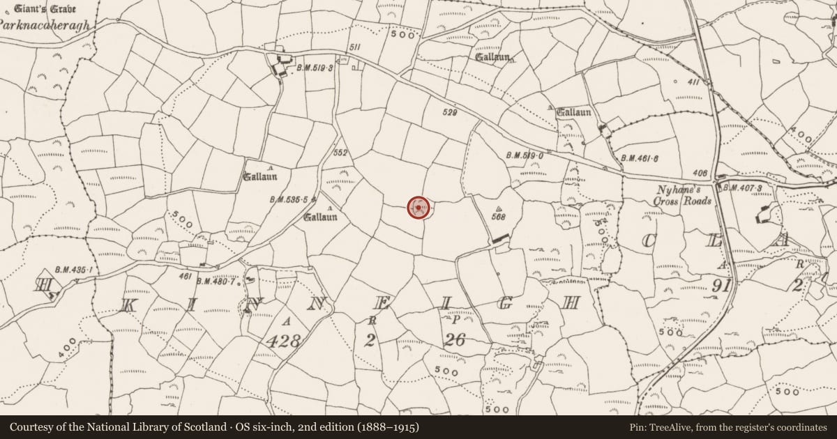 Ordnance Survey six-inch map, 2nd edition (1888–1915) covering the location of Ringfort - rath, Kinneigh, County Cork, with a pin at the register's coordinates