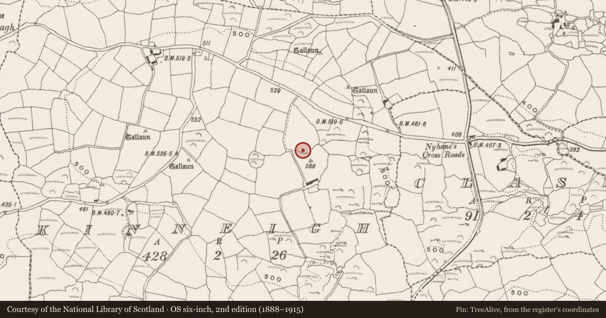 Ordnance Survey six-inch map, 2nd edition (1888–1915) covering the location of Ringfort - rath, Kinneigh, County Cork, with a pin at the register's coordinates
