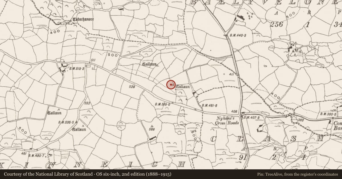 Ordnance Survey six-inch map, 2nd edition (1888–1915) covering the location of Standing stone, Kinneigh, County Cork, with a pin at the register's coordinates