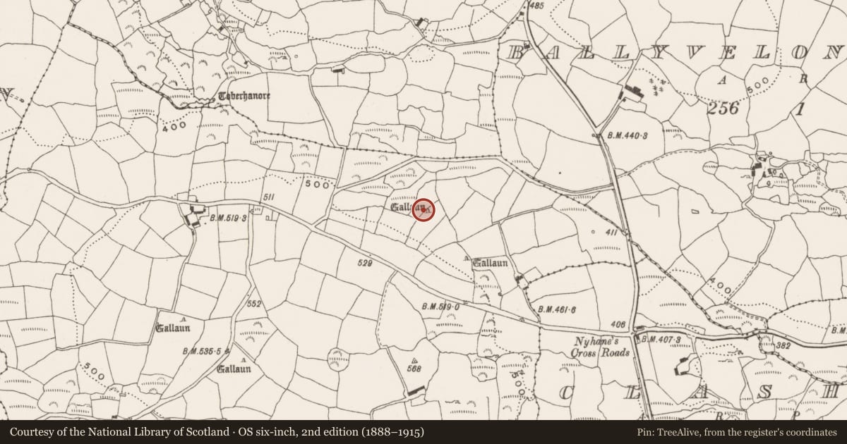 Ordnance Survey six-inch map, 2nd edition (1888–1915) covering the location of Standing stone, Kinneigh, County Cork, with a pin at the register's coordinates