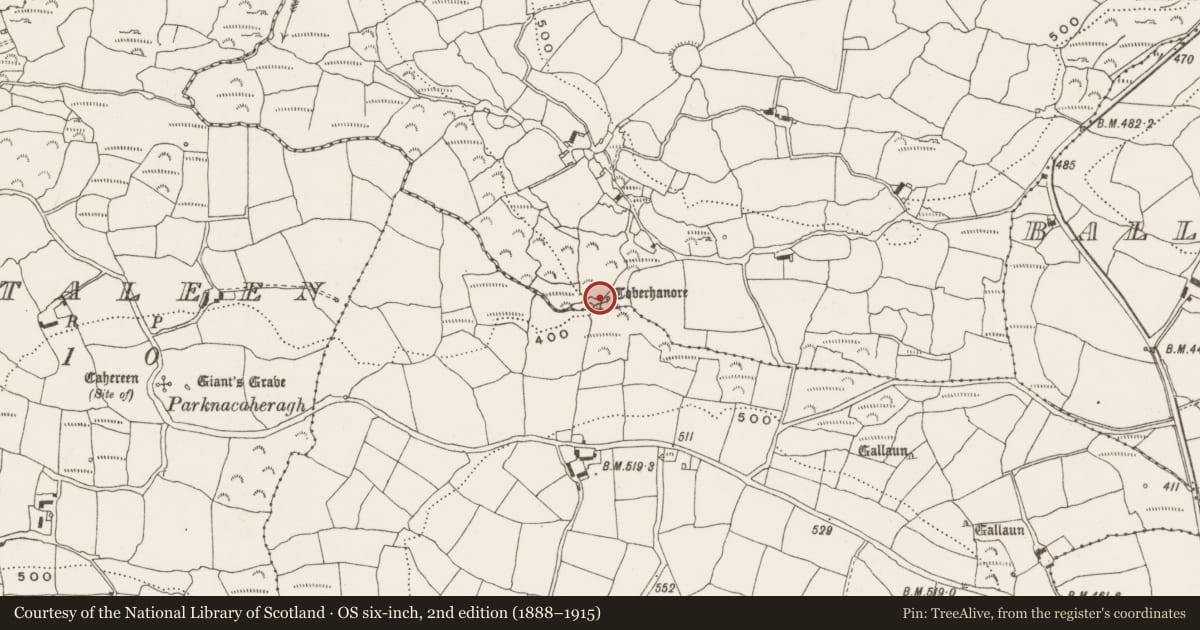 Ordnance Survey six-inch map, 2nd edition (1888–1915) covering the location of Ritual site - holy well, Ballyvelone West, County Cork, with a pin at the register's coordinates