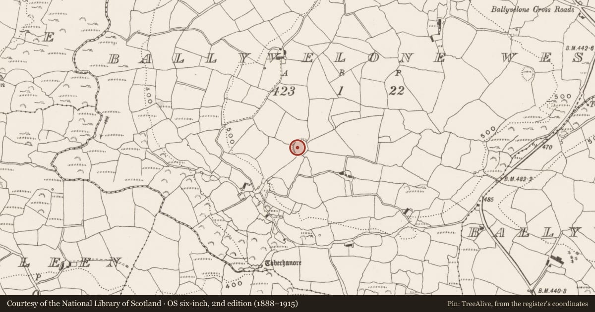 Ordnance Survey six-inch map, 2nd edition (1888–1915) covering the location of Ringfort - rath, Ballyvelone West, County Cork, with a pin at the register's coordinates