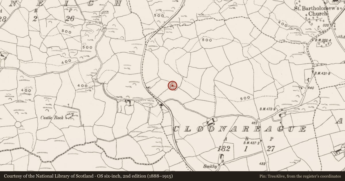 Ordnance Survey six-inch map, 2nd edition (1888–1915) covering the location of Ringfort - rath, Cloonareague, County Cork, with a pin at the register's coordinates