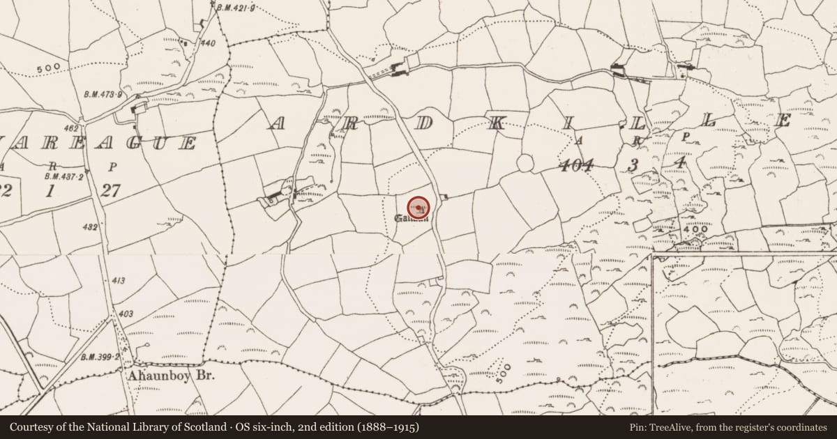 Ordnance Survey six-inch map, 2nd edition (1888–1915) covering the location of Standing stone, Ardkilleen, County Cork, with a pin at the register's coordinates