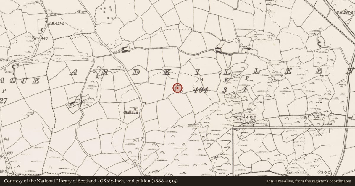 Ordnance Survey six-inch map, 2nd edition (1888–1915) covering the location of Ringfort - rath, Ardkilleen, County Cork, with a pin at the register's coordinates