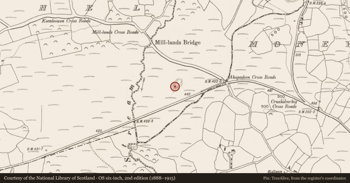 Ordnance Survey six-inch map, 2nd edition (1888–1915) covering the location of Mound, Slieveowen, County Cork, with a pin at the register's coordinates