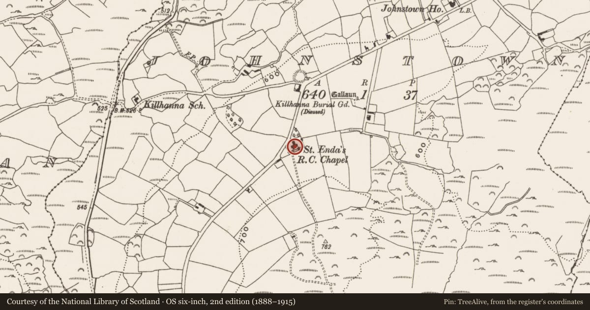 Ordnance Survey six-inch map, 2nd edition (1888–1915) covering the location of Church, Johnstown, County Cork, with a pin at the register's coordinates