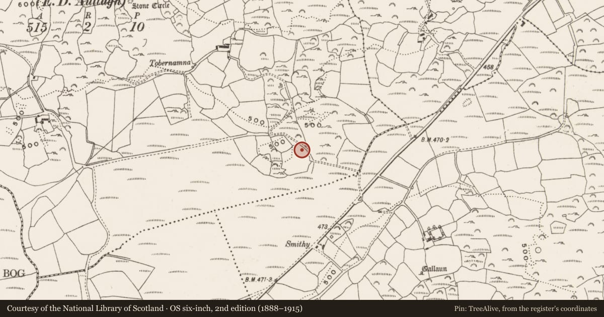 Ordnance Survey six-inch map, 2nd edition (1888–1915) covering the location of Kiln - lime, Gortroe (Carbery E. (W.D) By., Kilmichael Par.), County Cork, with a pin at the register's coordinates
