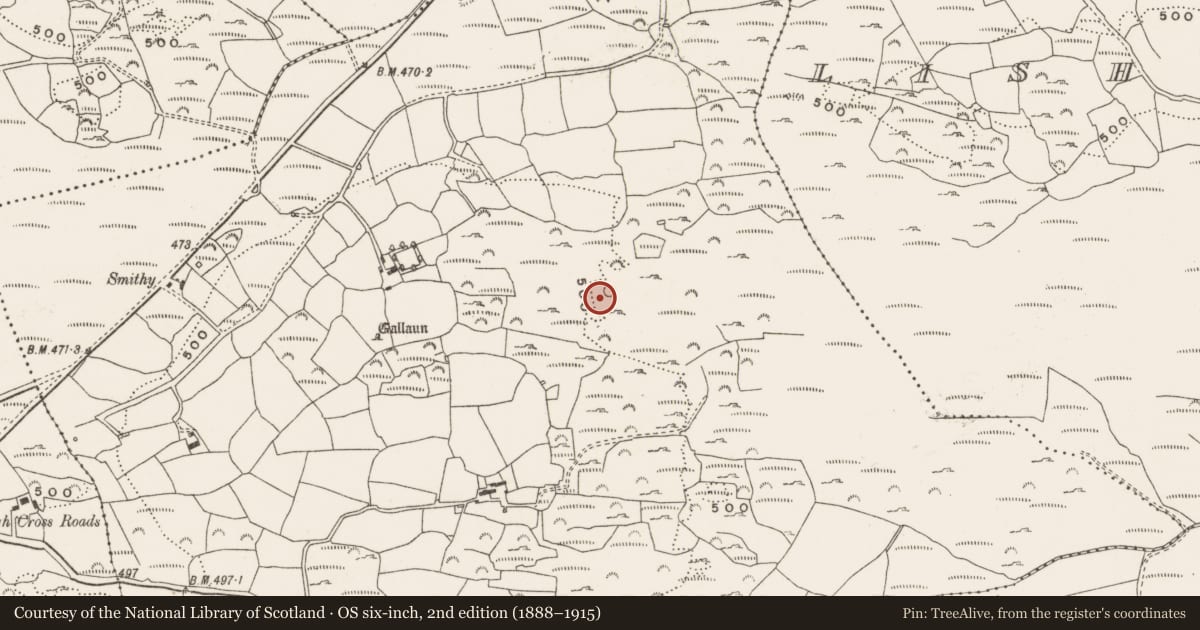 Ordnance Survey six-inch map, 2nd edition (1888–1915) covering the location of Enclosure, Curradrinagh, County Cork, with a pin at the register's coordinates