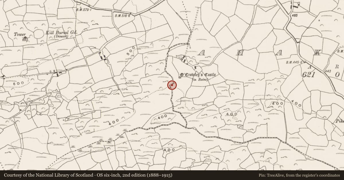 Ordnance Survey six-inch map, 2nd edition (1888–1915) covering the location of Fulacht fia, Ahakeera, County Cork, with a pin at the register's coordinates