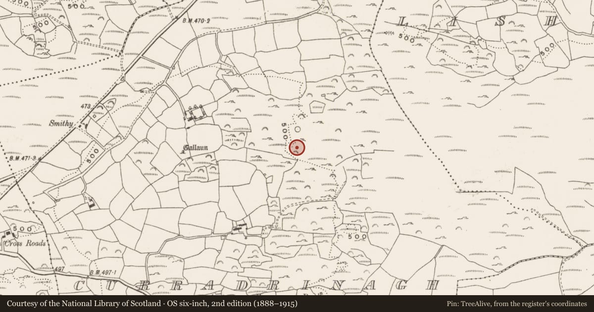 Ordnance Survey six-inch map, 2nd edition (1888–1915) covering the location of Distillery, Curradrinagh, County Cork, with a pin at the register's coordinates