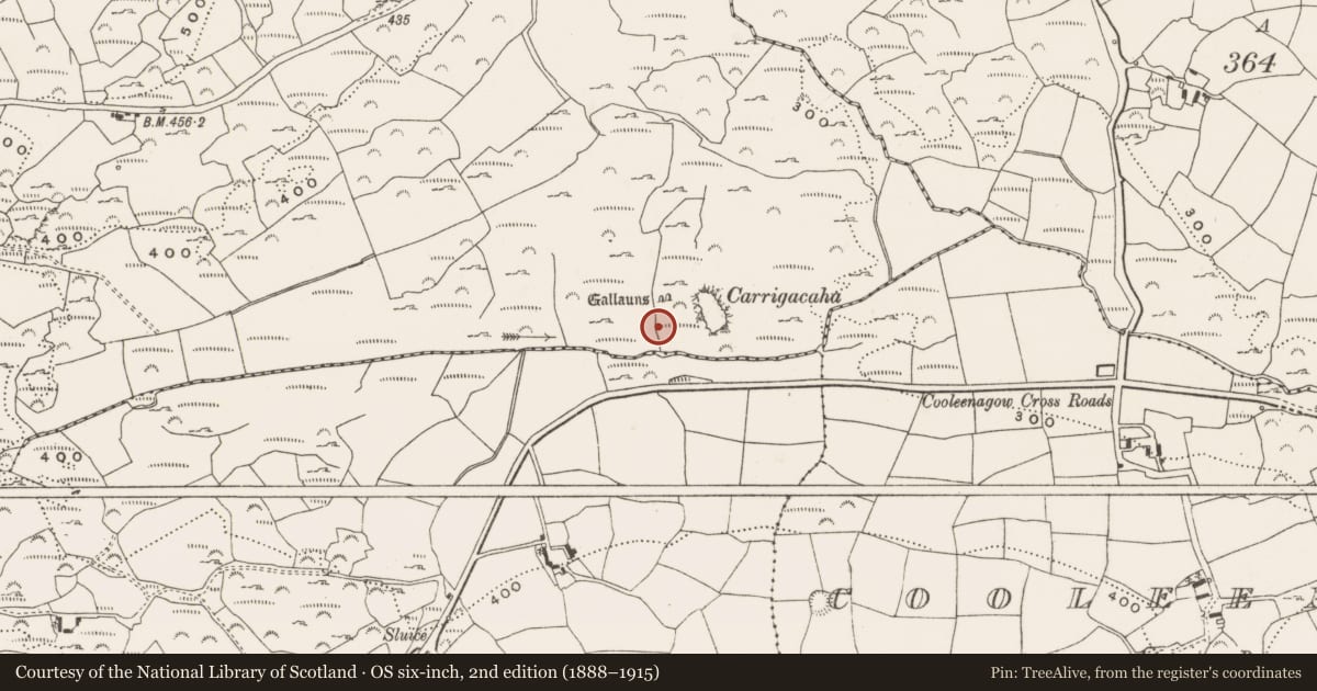 Ordnance Survey six-inch map, 2nd edition (1888–1915) covering the location of Cairn - radial-stone cairn, Behagullane, County Cork, with a pin at the register's coordinates