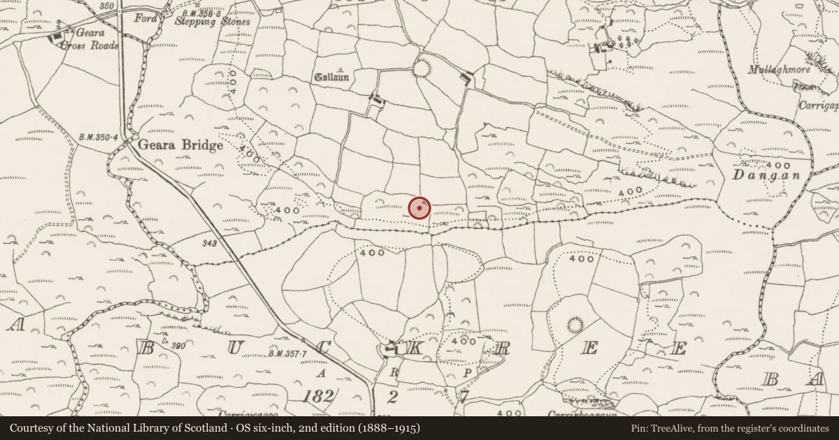 Ordnance Survey six-inch map, 2nd edition (1888–1915) covering the location of Fulacht fia, Anaharlick, County Cork, with a pin at the register's coordinates