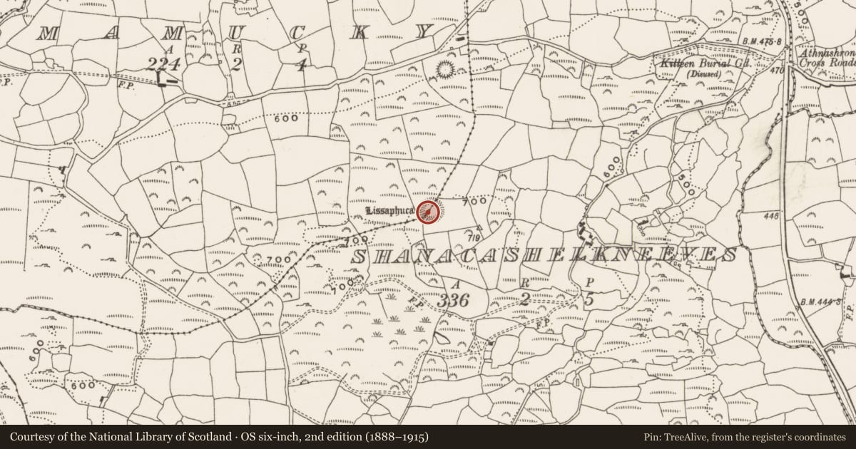 Ordnance Survey six-inch map, 2nd edition (1888–1915) covering the location of Souterrain, Mamucky, County Cork, with a pin at the register's coordinates