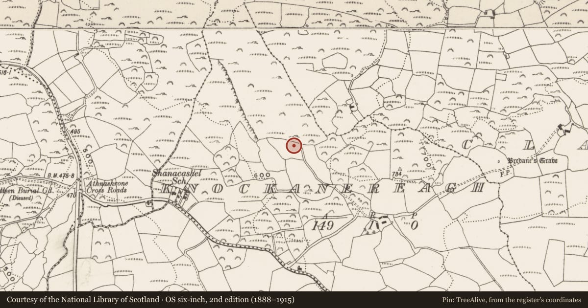 Ordnance Survey six-inch map, 2nd edition (1888–1915) covering the location of Boulder-burial, Knockanereagh, County Cork, with a pin at the register's coordinates