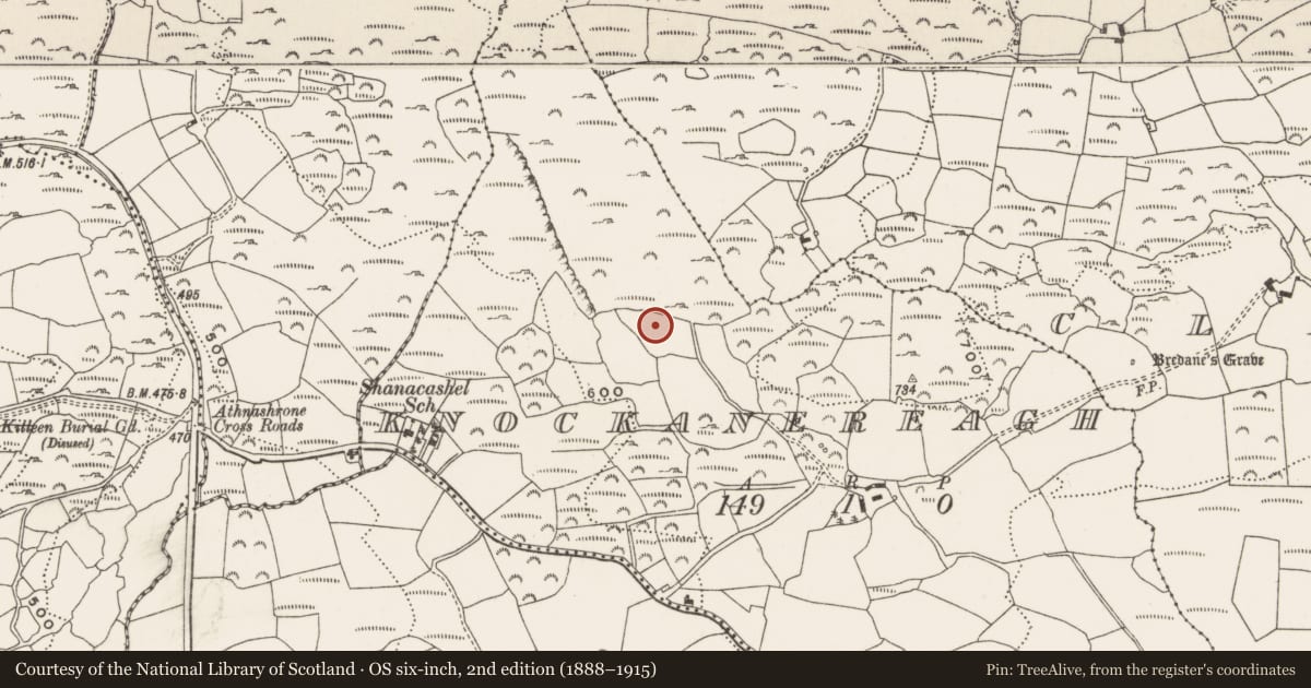 Ordnance Survey six-inch map, 2nd edition (1888–1915) covering the location of Boulder-burial, Knockanereagh, County Cork, with a pin at the register's coordinates