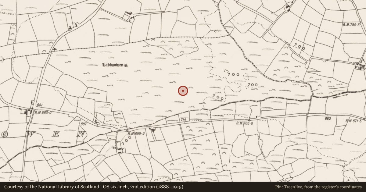 Ordnance Survey six-inch map, 2nd edition (1888–1915) covering the location of Field boundary, Slieveowen, County Cork, with a pin at the register's coordinates