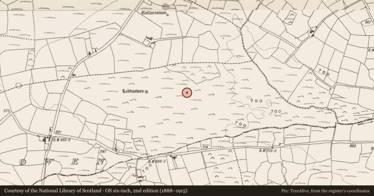 Ordnance Survey six-inch map, 2nd edition (1888–1915) covering the location of Enclosure, Slieveowen, County Cork, with a pin at the register's coordinates