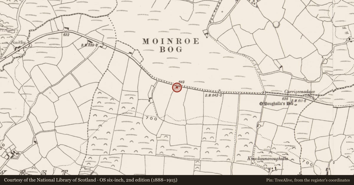 Ordnance Survey six-inch map, 2nd edition (1888–1915) covering the location of Fulacht fia, Cappeen East, County Cork, with a pin at the register's coordinates