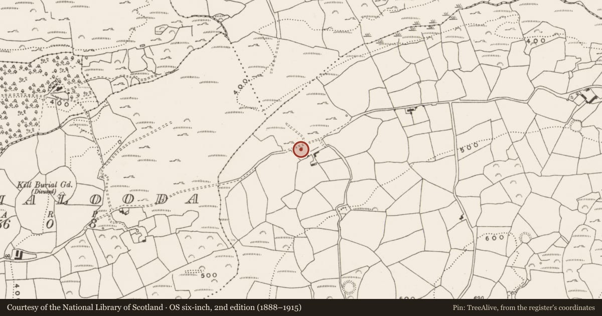 Ordnance Survey six-inch map, 2nd edition (1888–1915) covering the location of Fulacht fia, Behagullane, County Cork, with a pin at the register's coordinates