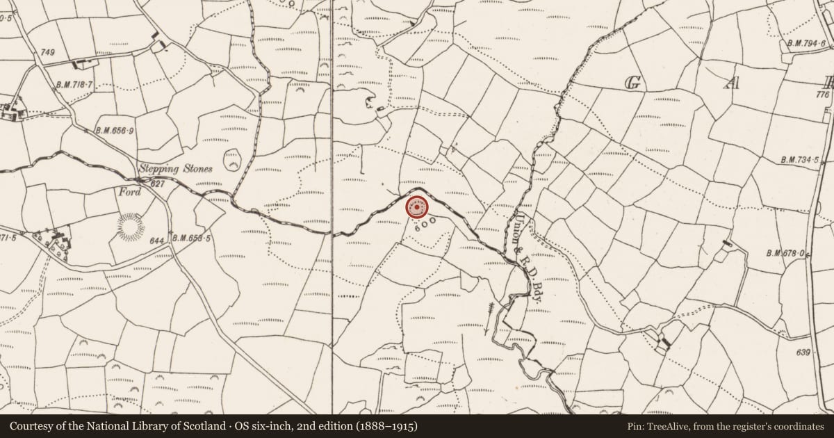 Ordnance Survey six-inch map, 2nd edition (1888–1915) covering the location of Ringfort - rath, Moneygaff East, County Cork, with a pin at the register's coordinates