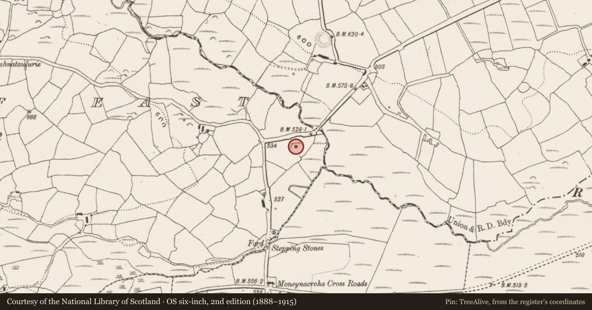 Ordnance Survey six-inch map, 2nd edition (1888–1915) covering the location of Ringfort - rath, Moneygaff East, County Cork, with a pin at the register's coordinates