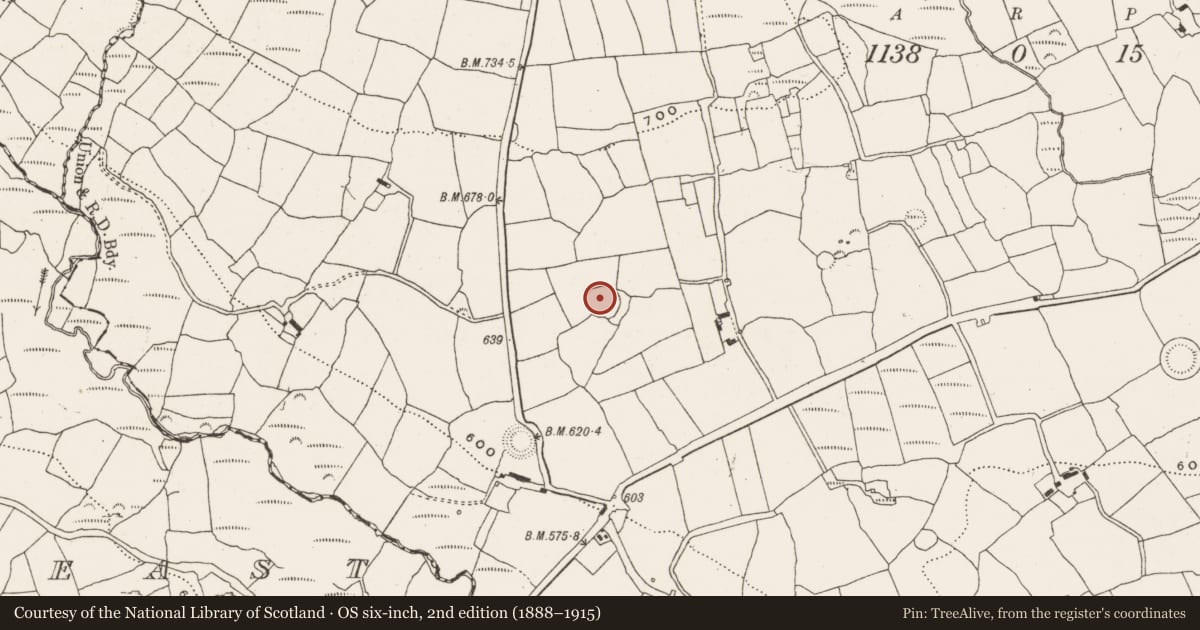 Ordnance Survey six-inch map, 2nd edition (1888–1915) covering the location of Ringfort - rath, Garranereagh, County Cork, with a pin at the register's coordinates