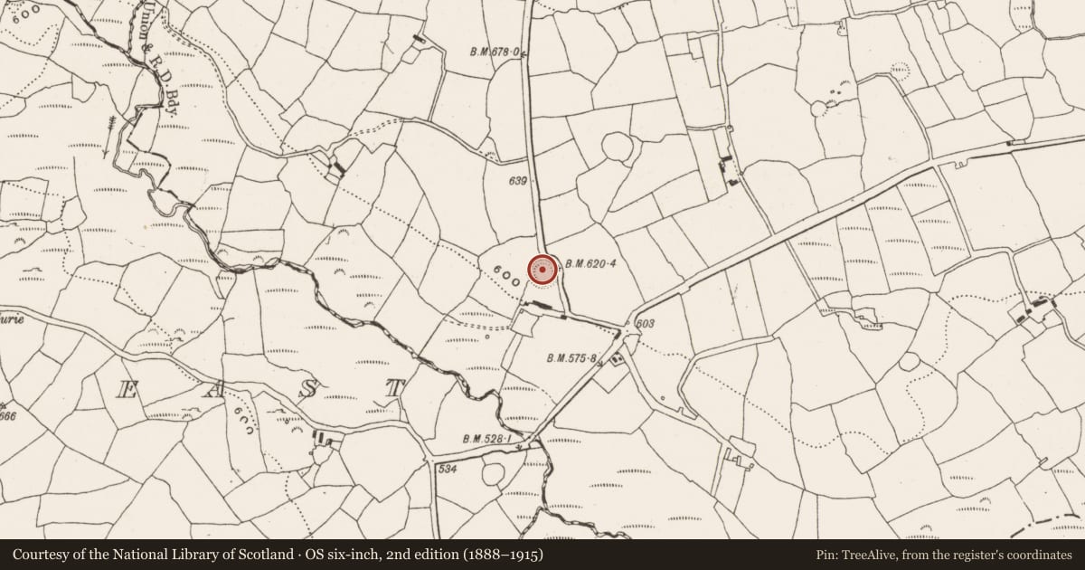 Ordnance Survey six-inch map, 2nd edition (1888–1915) covering the location of Ringfort - rath, Garranereagh, County Cork, with a pin at the register's coordinates