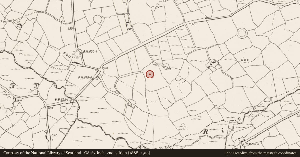 Ordnance Survey six-inch map, 2nd edition (1888–1915) covering the location of Mound, Garranereagh, County Cork, with a pin at the register's coordinates