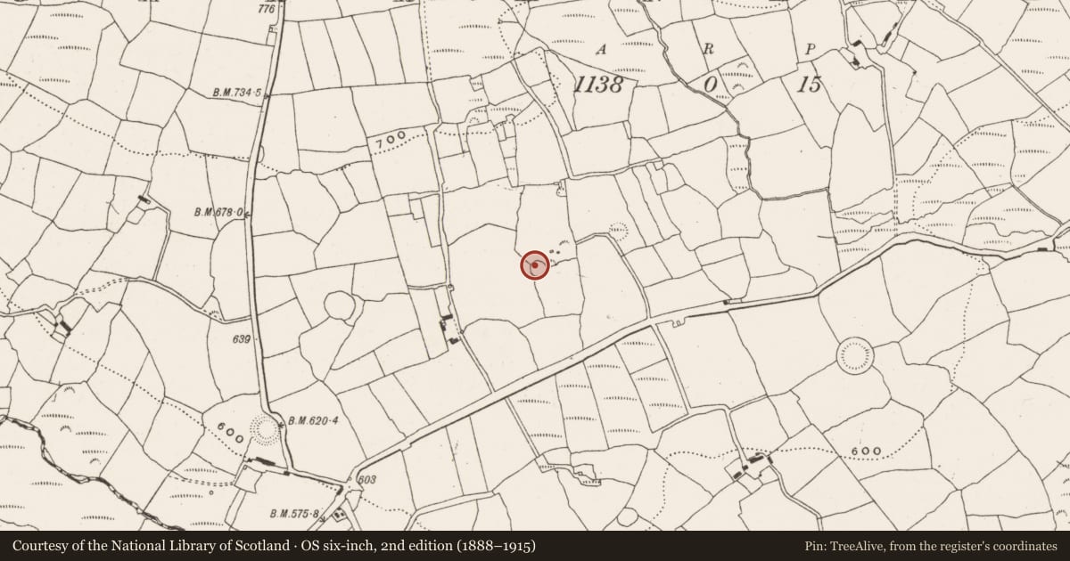 Ordnance Survey six-inch map, 2nd edition (1888–1915) covering the location of Ringfort - rath, Garranereagh, County Cork, with a pin at the register's coordinates