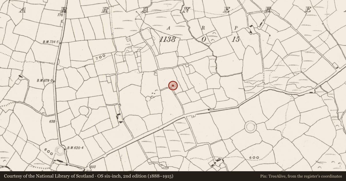 Ordnance Survey six-inch map, 2nd edition (1888–1915) covering the location of Ringfort - rath, Garranereagh, County Cork, with a pin at the register's coordinates