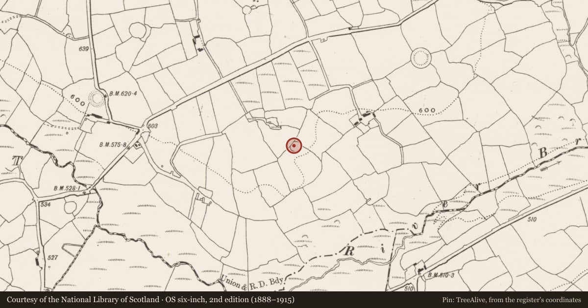 Ordnance Survey six-inch map, 2nd edition (1888–1915) covering the location of Ringfort - rath, Garranereagh, County Cork, with a pin at the register's coordinates